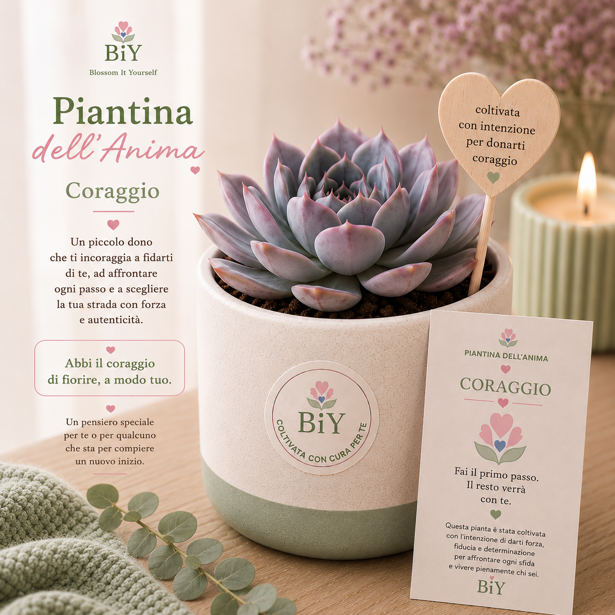 Piantine dell'Anima - Coraggio