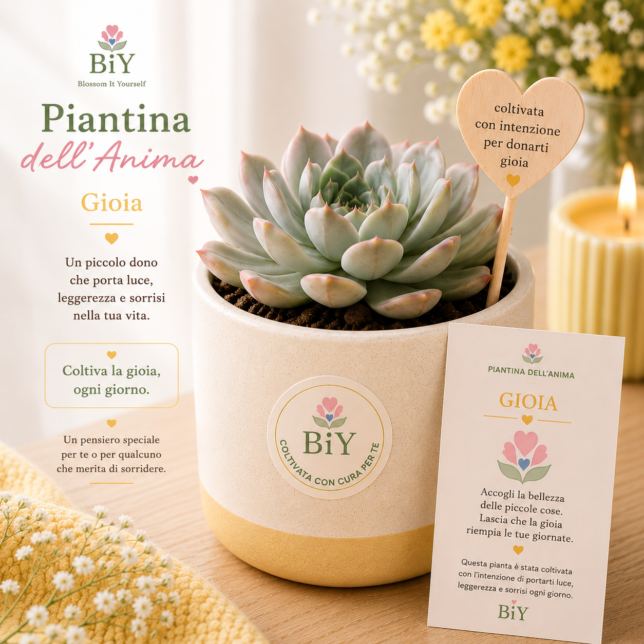 Piantine dell'Anima - Gioia