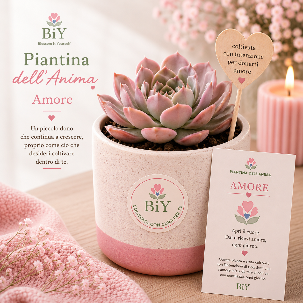 Piantine dell'Anima - Amore