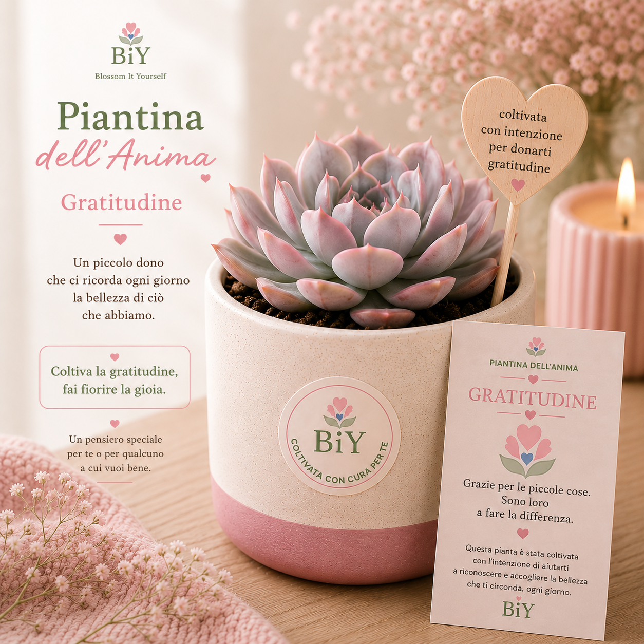 Piantine dell'Anima - Gratitudine